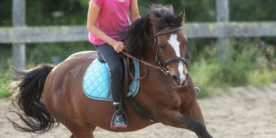 Reiten ist ein schönes Hobby für Kinder.