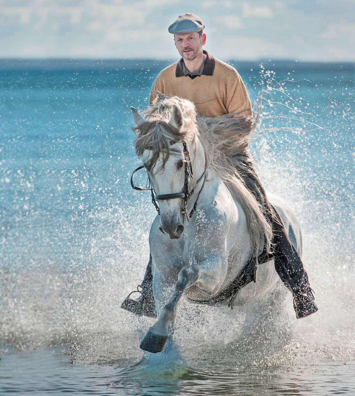 Reiten: Es gibt kein schöneres Hobby!