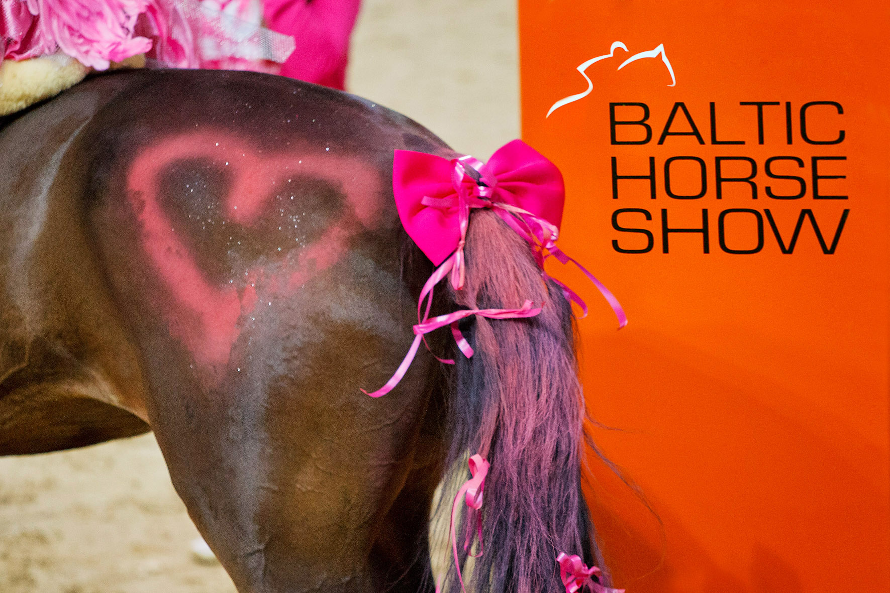 Baltic Horse Show