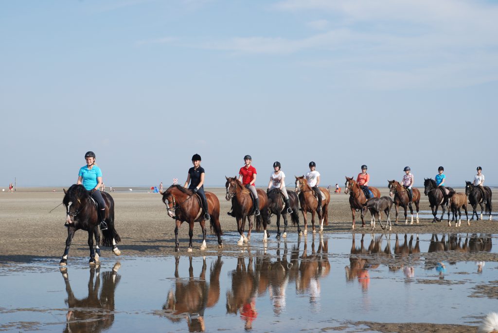 Reitgruppe am Strand