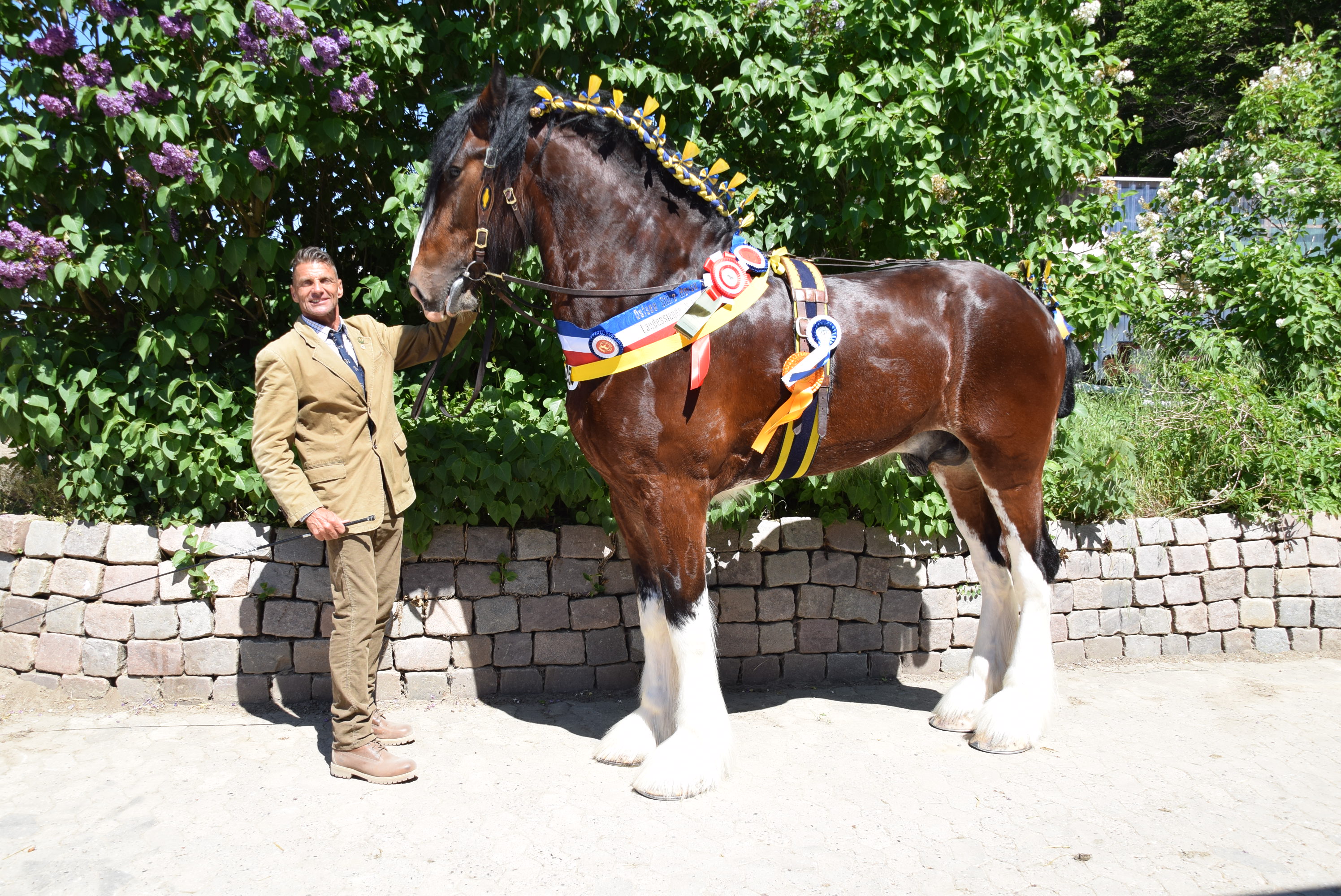 Torsten Timm (Düsseldorf) mit Crossingtons Isaac