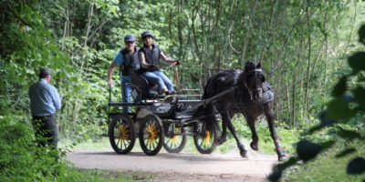 Gespannfahrprüfungen der Klasse A während des Turniers in Güldenstein