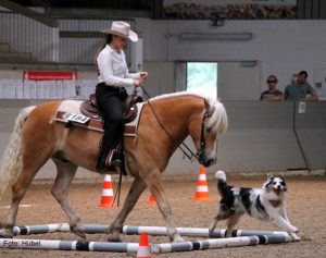 Westernreitturnier Hanerau-Hademarschen