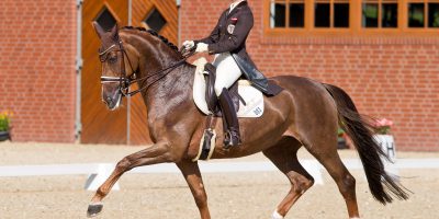 Dressur Cappeln International,die Vorjahressiegerin Victoria Max-Theurer/AUT hier auf Blind Date.