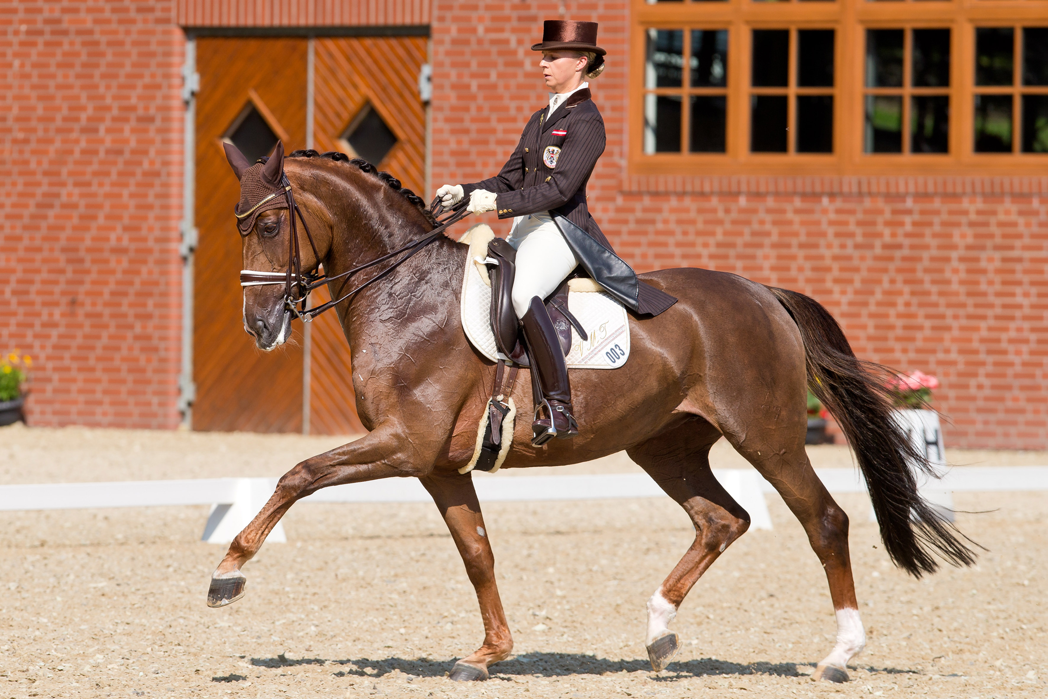 Dressur Cappeln International,die Vorjahressiegerin Victoria Max-Theurer/AUT hier auf Blind Date.