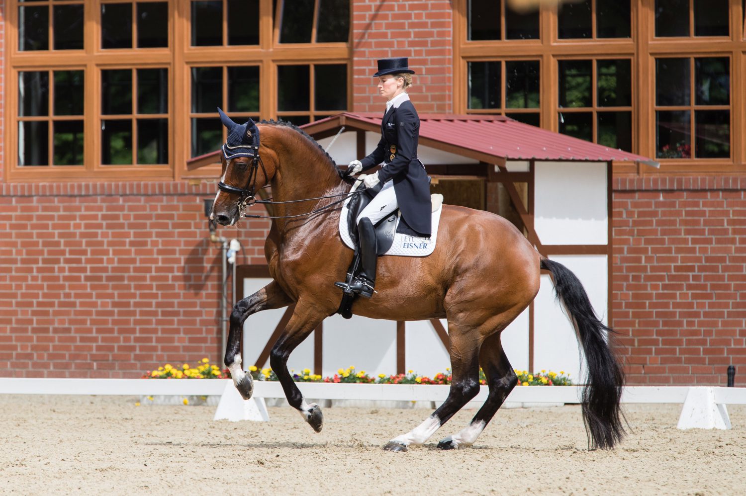 Dressur Cappeln International, Helen Langehanenberg gewann auf Suppenkasper die Grand Prix Kür.