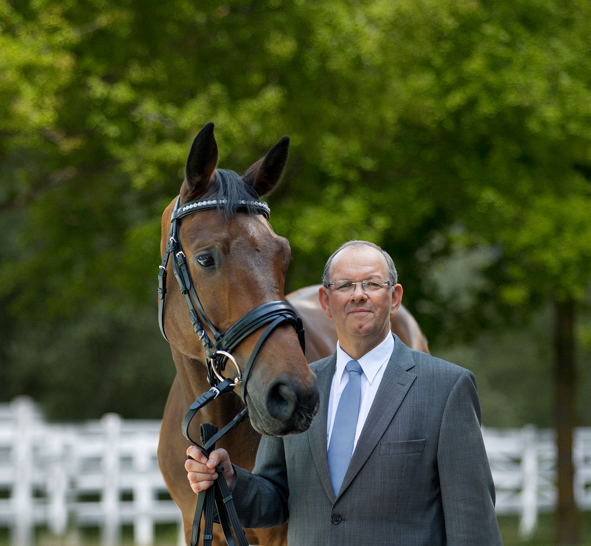 reitsport versandhandel