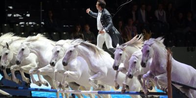 Pferde-Show in Vechta