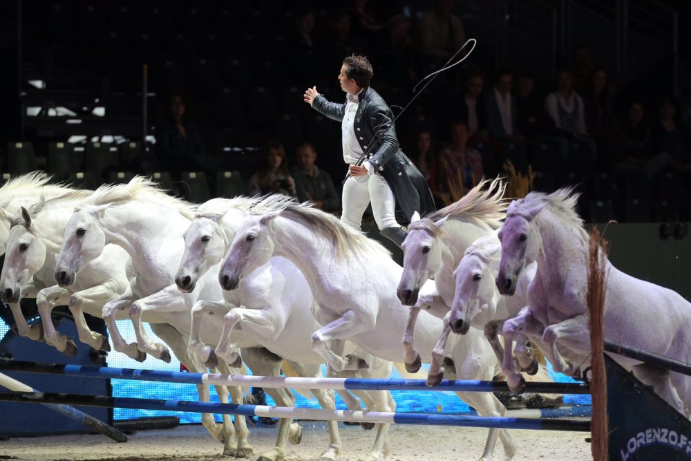 Pferde-Show in Vechta