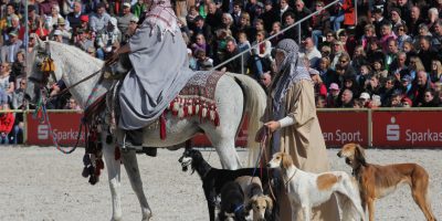 Gestüt Marbach, Marbacher Hengstparaden