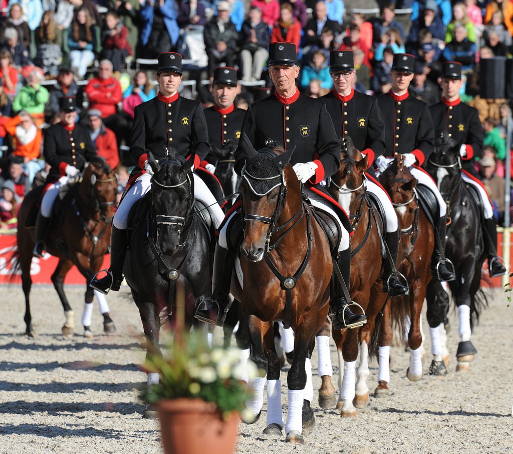 Gestüt Marbach, Marbacher Hengstparaden