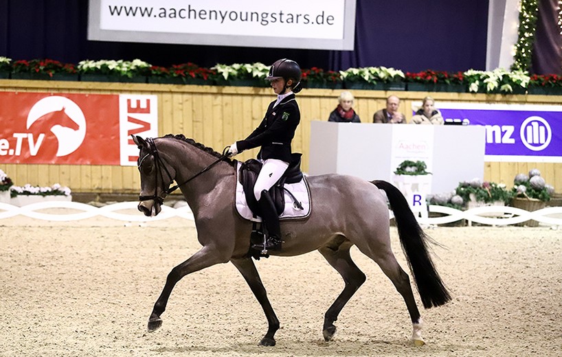 Junger Reiter auf Pony